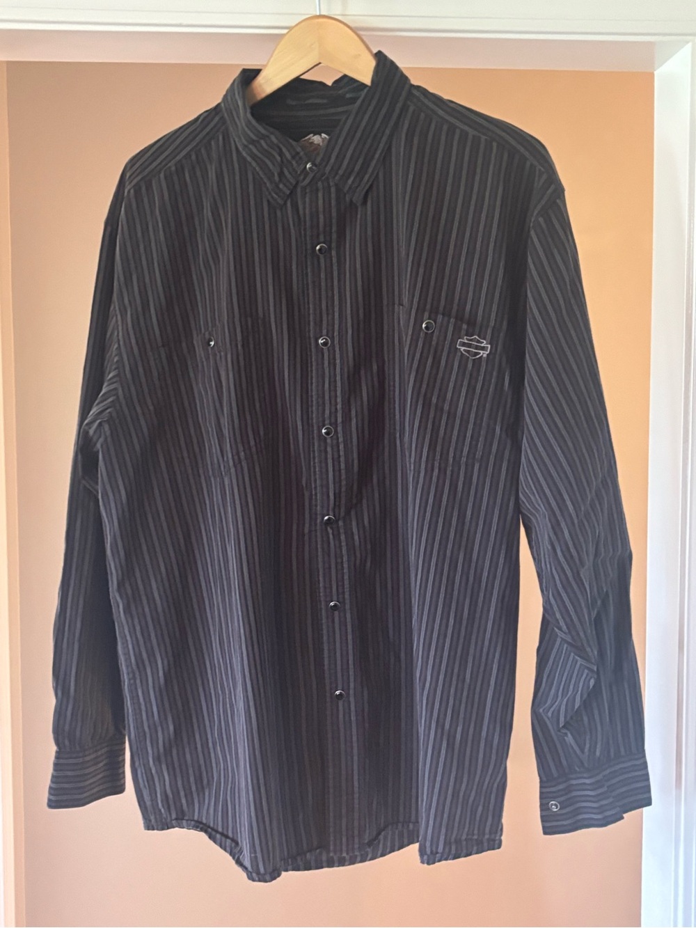 Harley-Davidson Black Striped Long-Sleeve Button-Down Shirt
